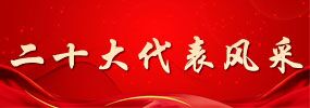 二十大代表風采